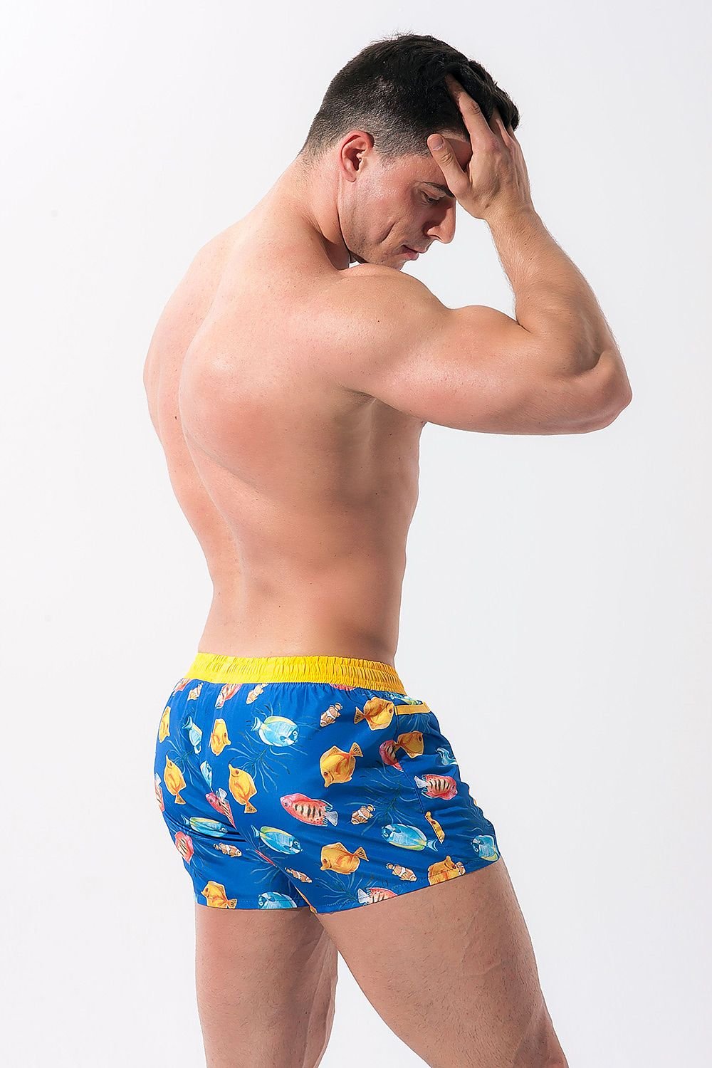 Alpha Male Model 146255 Swim Briefs