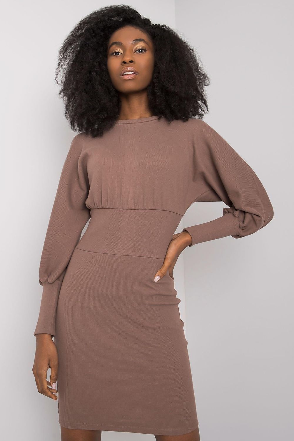 Day dress model 185374 Rue Paris