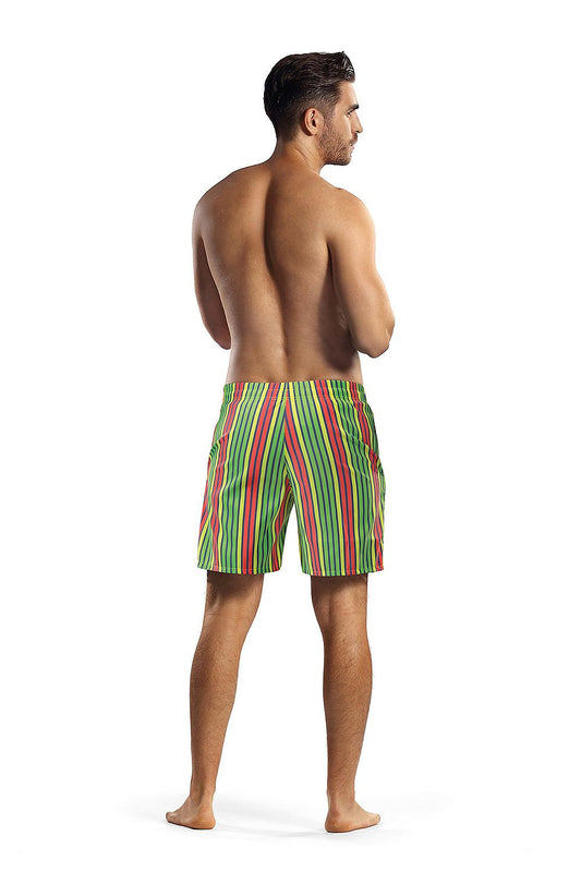 Swim brief model 182806 Lorin